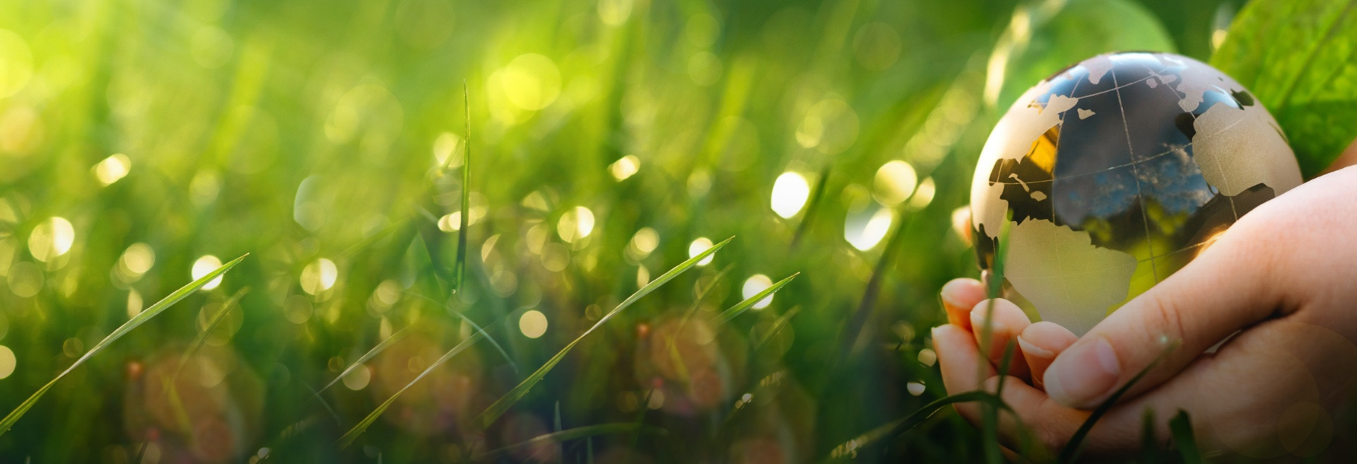 Jiangsu Wanda Special Bearing Co., Ltd.,